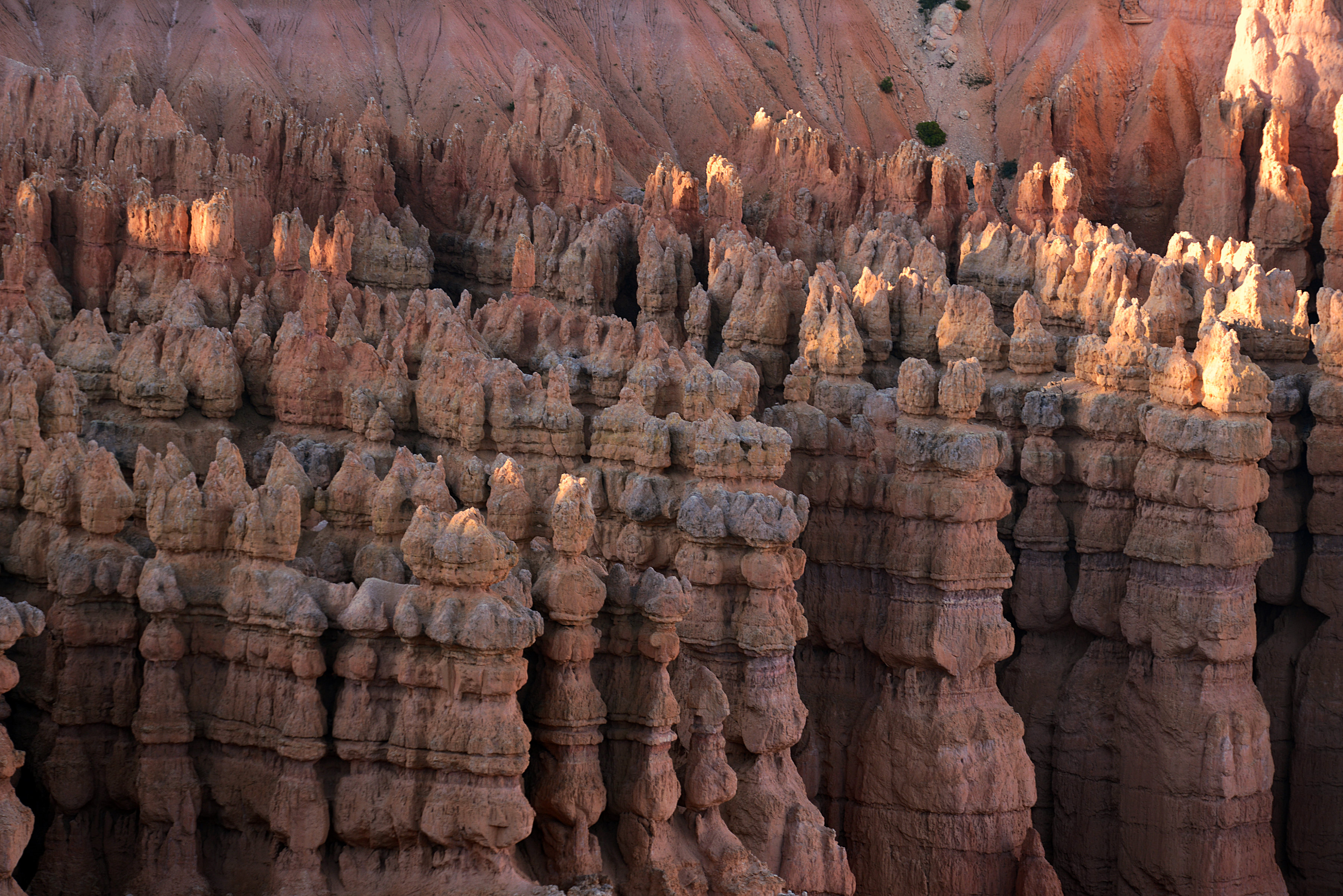 Bryce Canyon, Utah 123